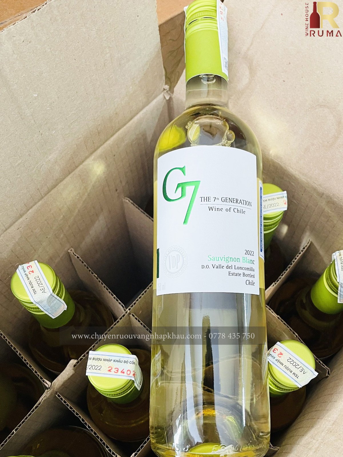 Vang Chile G7 Sauvignon Blanc (vang trắng)