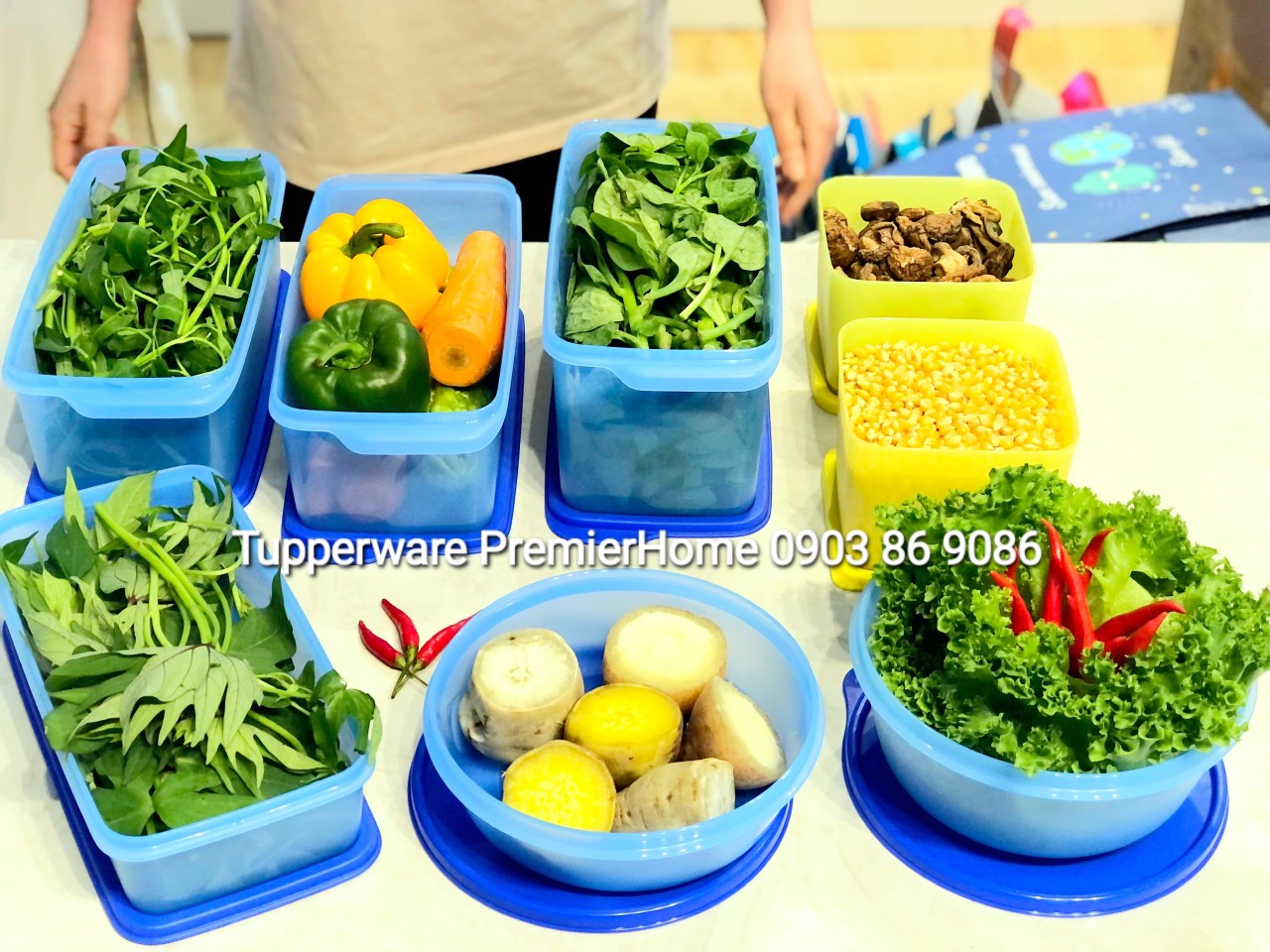 Set 8 hộp trữ mát Modern Tupperware