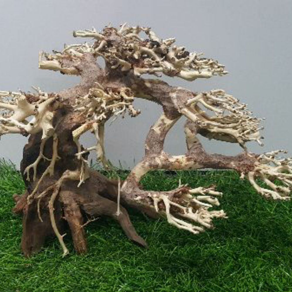 [HCM]Lũa bonsai cấy rêu ( dài23- cao16cm)