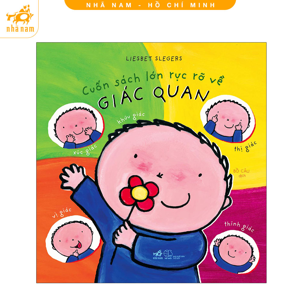 Sách - cuốn sách lớn rực rỡ về giác quan