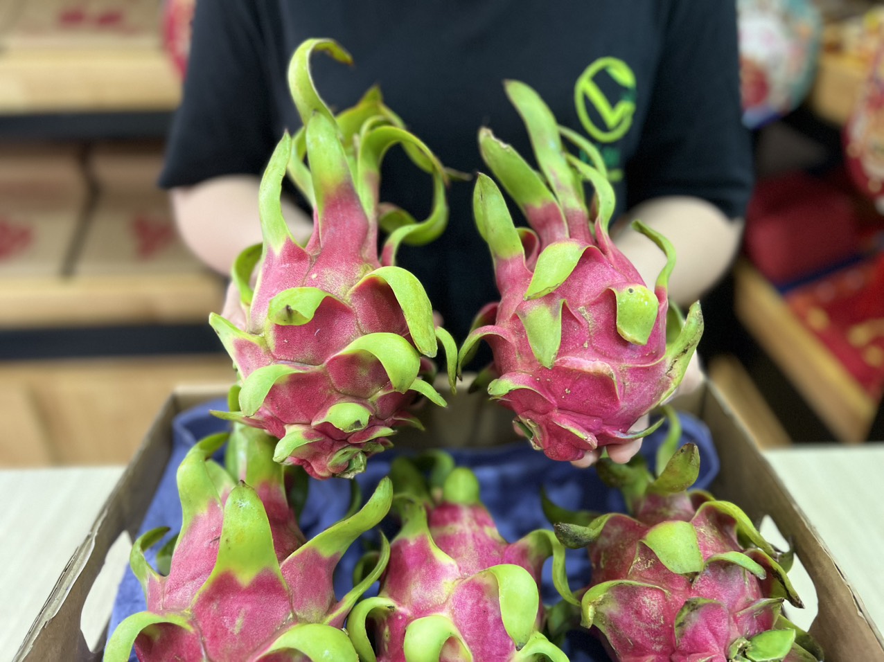 VG FARM Thanh Long Ruột Đỏ