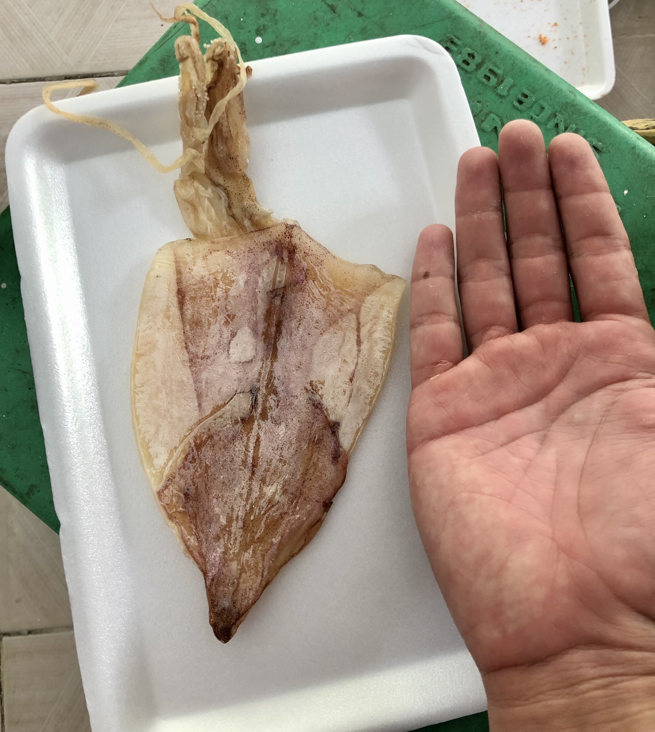 1kg Mực Khô Khánh Hòa loại 40-45 con