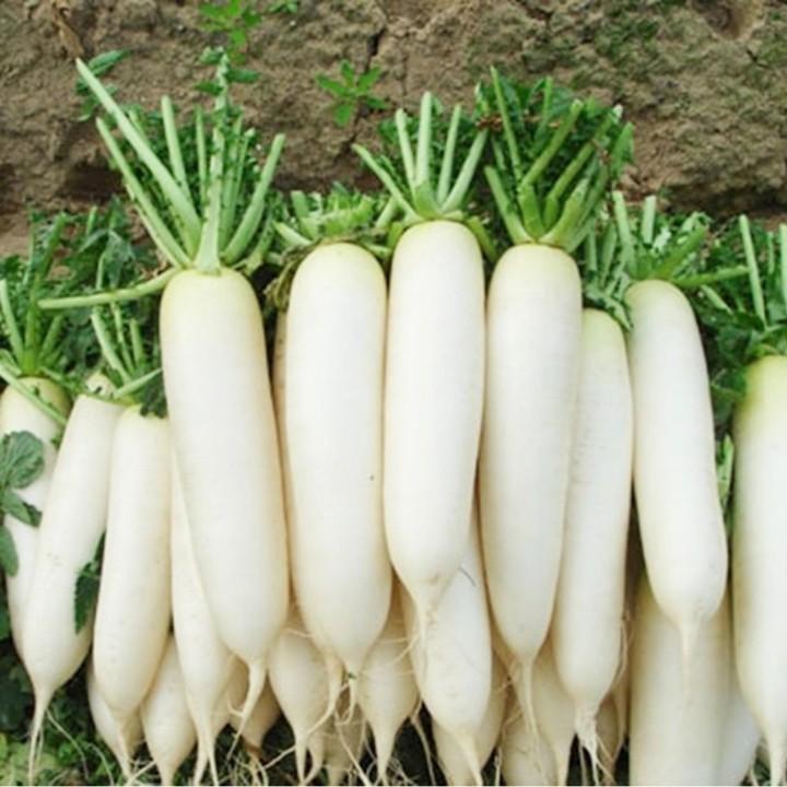 HẠT GIỐNG CỦ CẢI TRẮNG BẠCH TUYẾT - 20GR