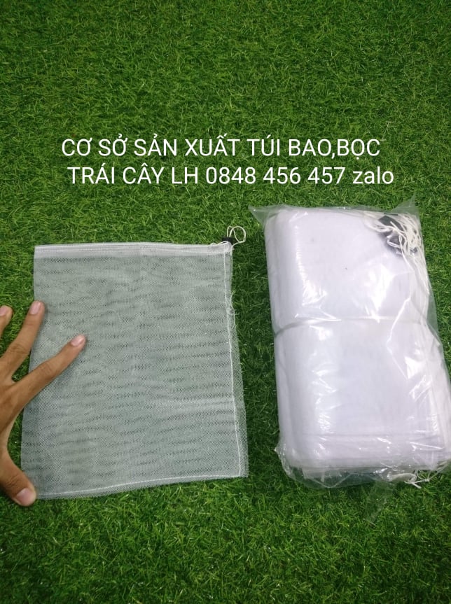 100 CÁI BAO,BỌC NA,CAM,BƠ,ỔI,...KÍCH THƯỚC 20*25