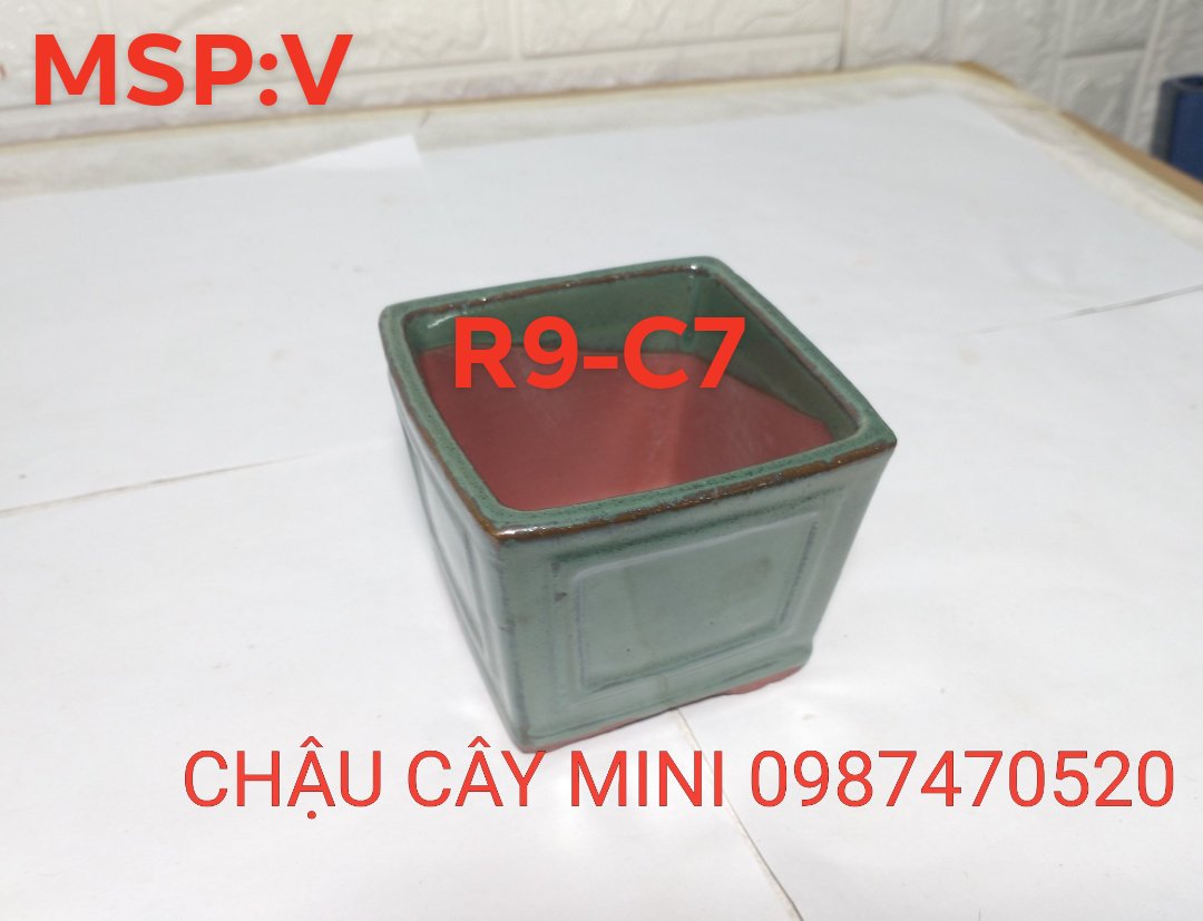 Chậu bonsai mini vuông,chậu trồng cây mini