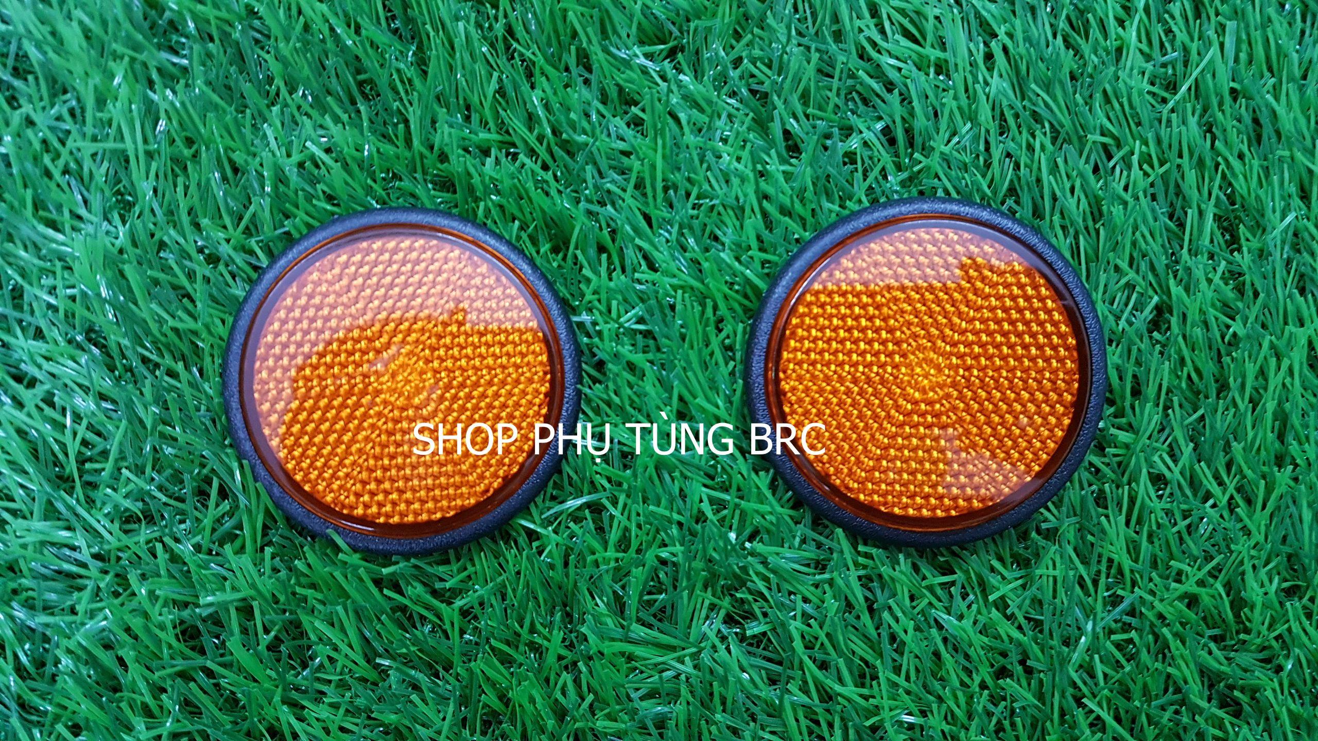 Mắt mèo màu vàng gắn biển số