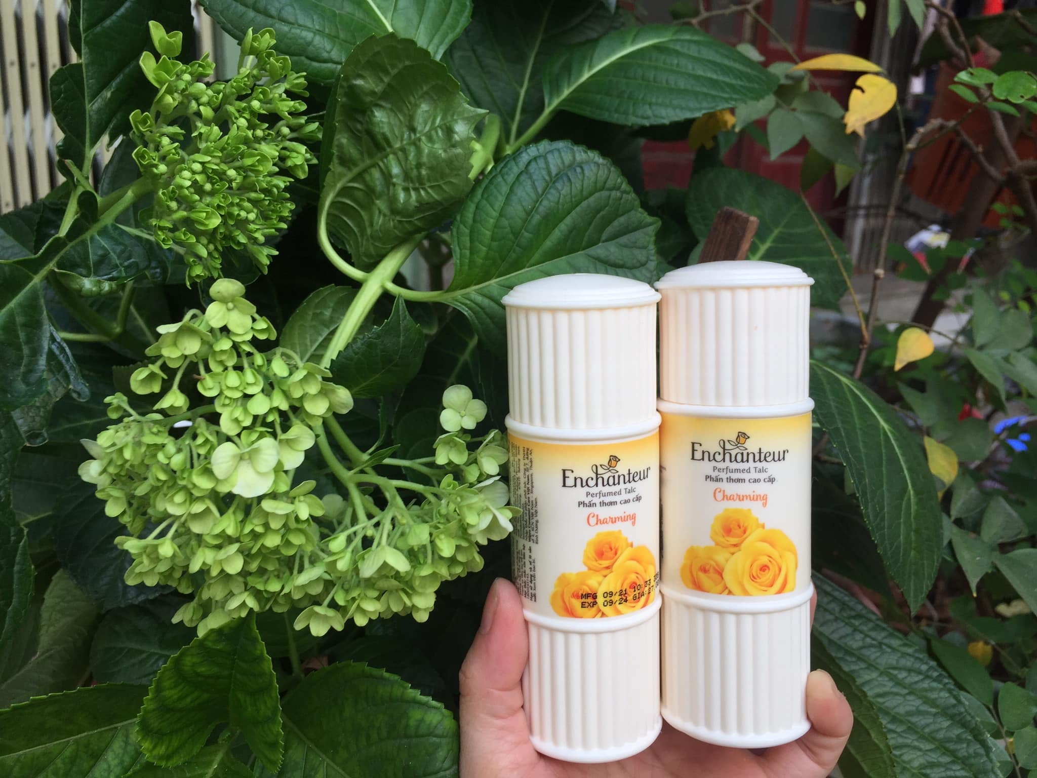 Combo Phấn Thơm cao cấp  Enchanteur Charming 50 gram
