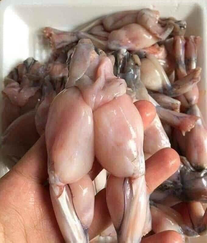 Đùi ếch vĩ 500gr (giao tphcm)