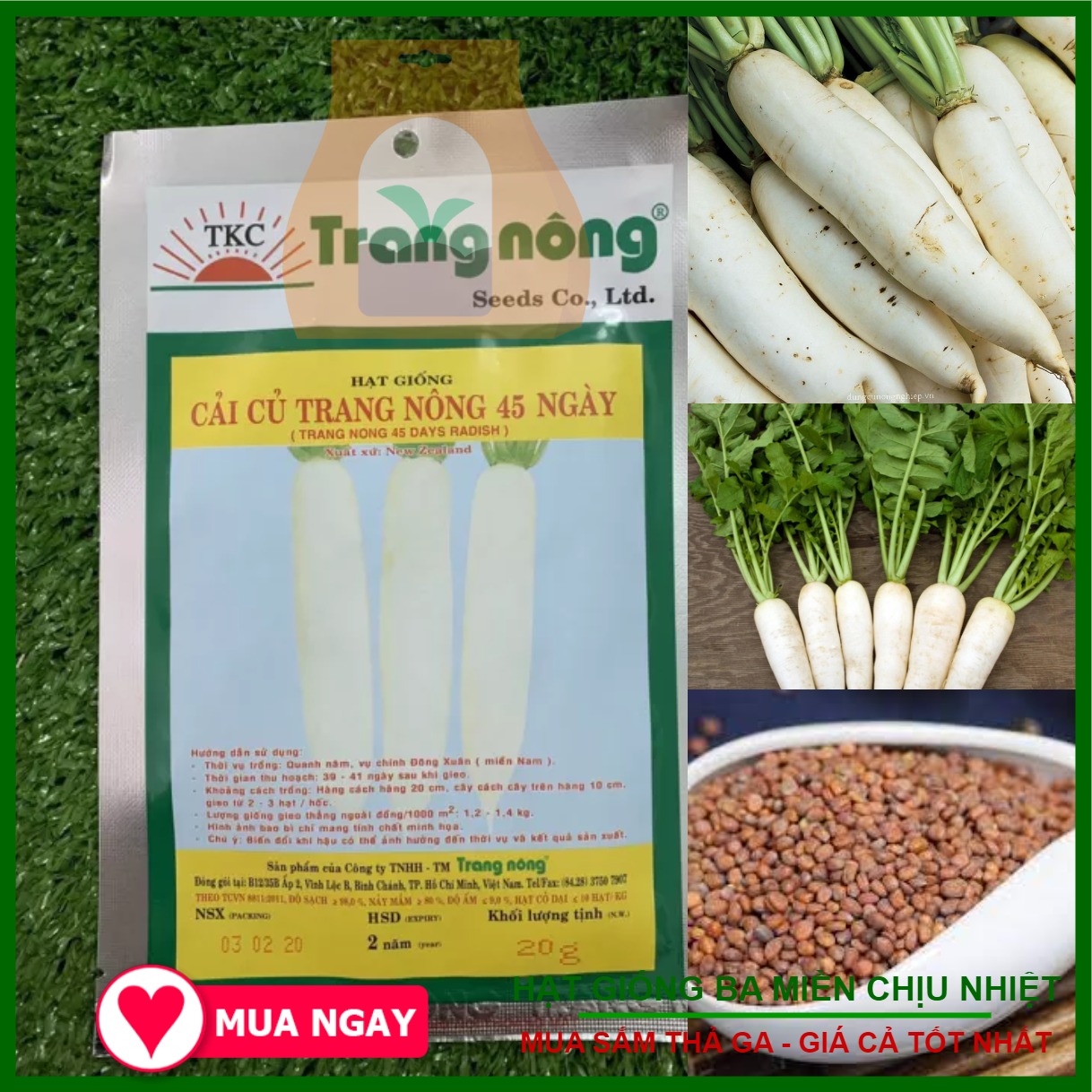 Hạt giống củ cải trang nông 45 ngày gói 20gram