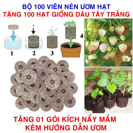Bộ 100 viên nén ươm hạt (tặng 100 Hạt giống Dâu tây trắng + Kích thích nẩy mầm, Hướng dẫn)