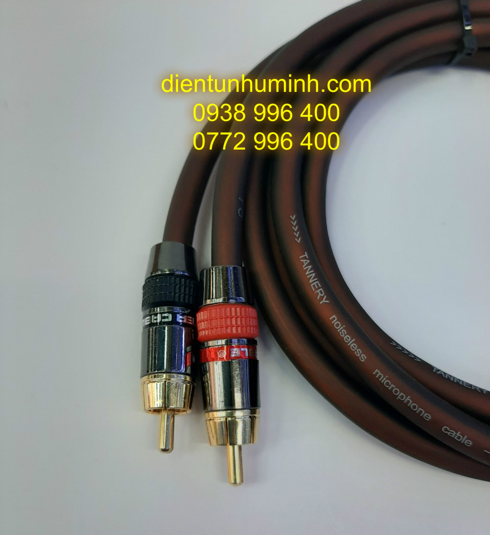 Cặp Dây  Jack  Canon Cái  ra  AV  1m Đồng