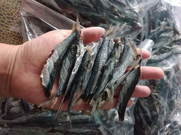 1kg CÁ CHUỒN MÍT KHÔ ĐẶC SẢN ĐÀ NẴNG - siêu ngon