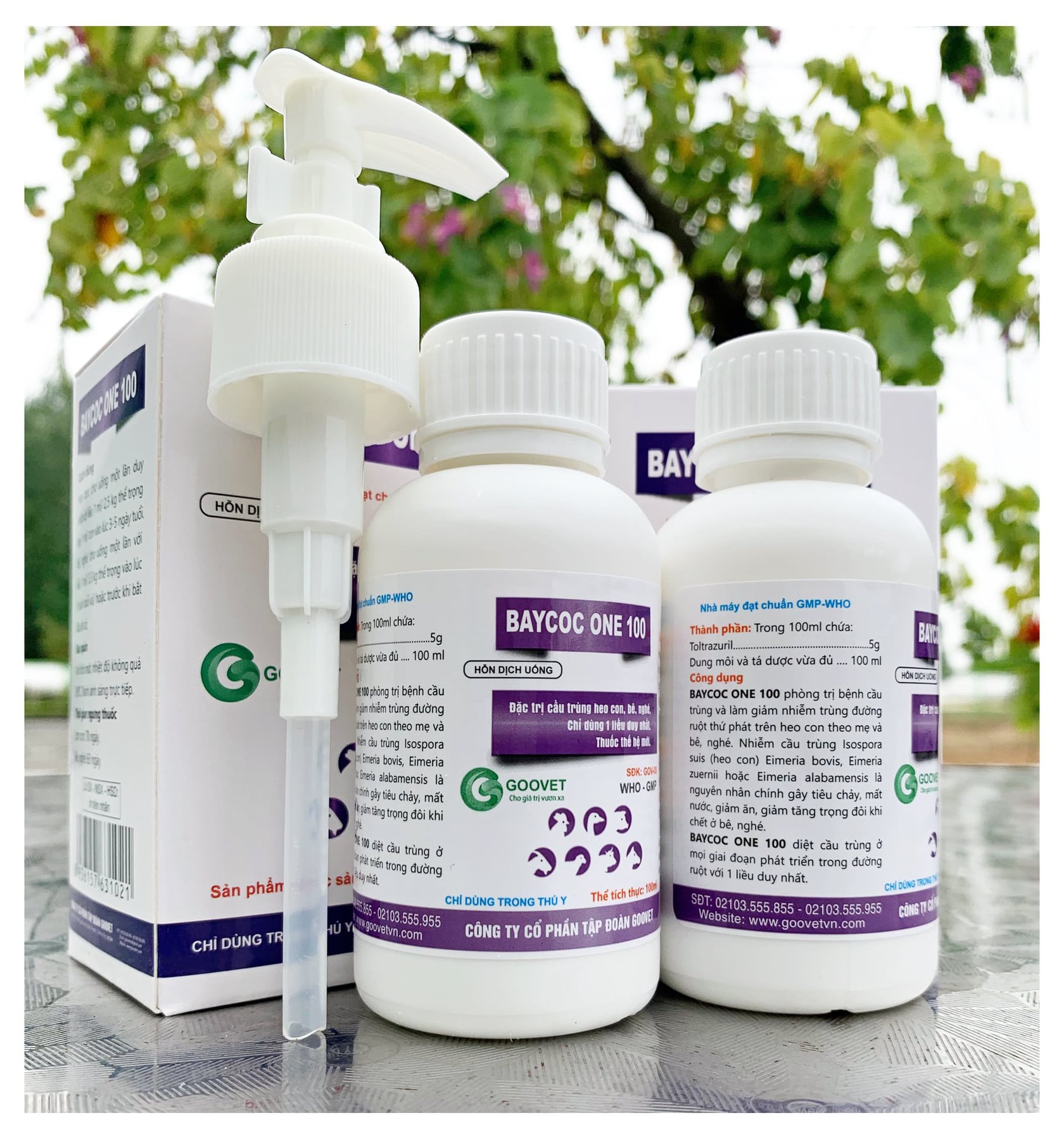 Baycoc one 100 10ml- Đặc trị cầu trùng