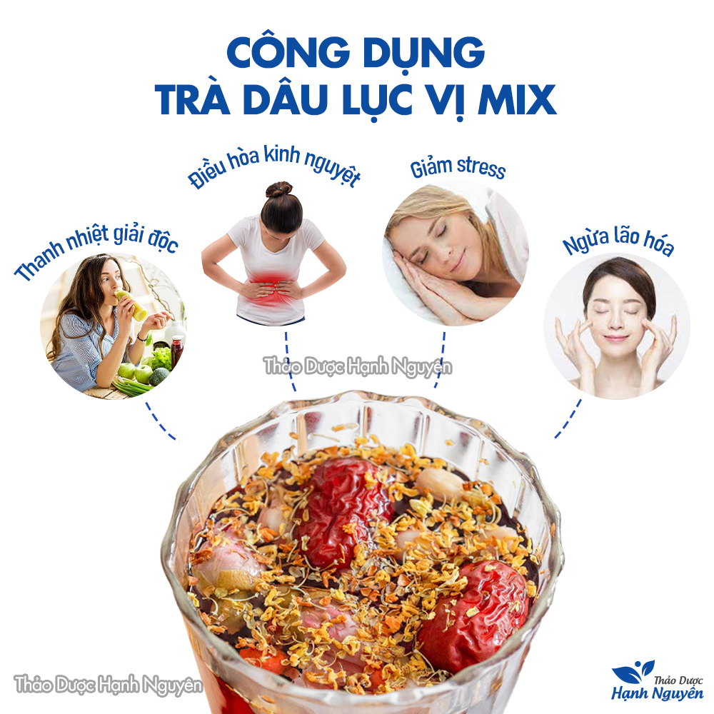 Trà dâu lục vị mix set (Dâu tằm, táo đỏ, hoa hồng tây tạng, kỳ tử, hoa nhài) - Thảo Dược Hạnh Nguyên