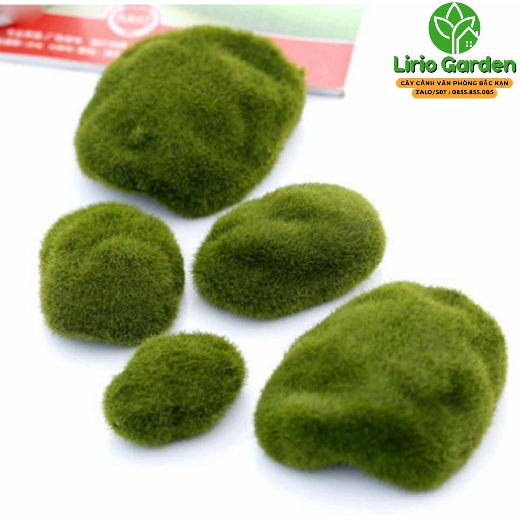 rêu cục mini trang trí tiểu cảnh
