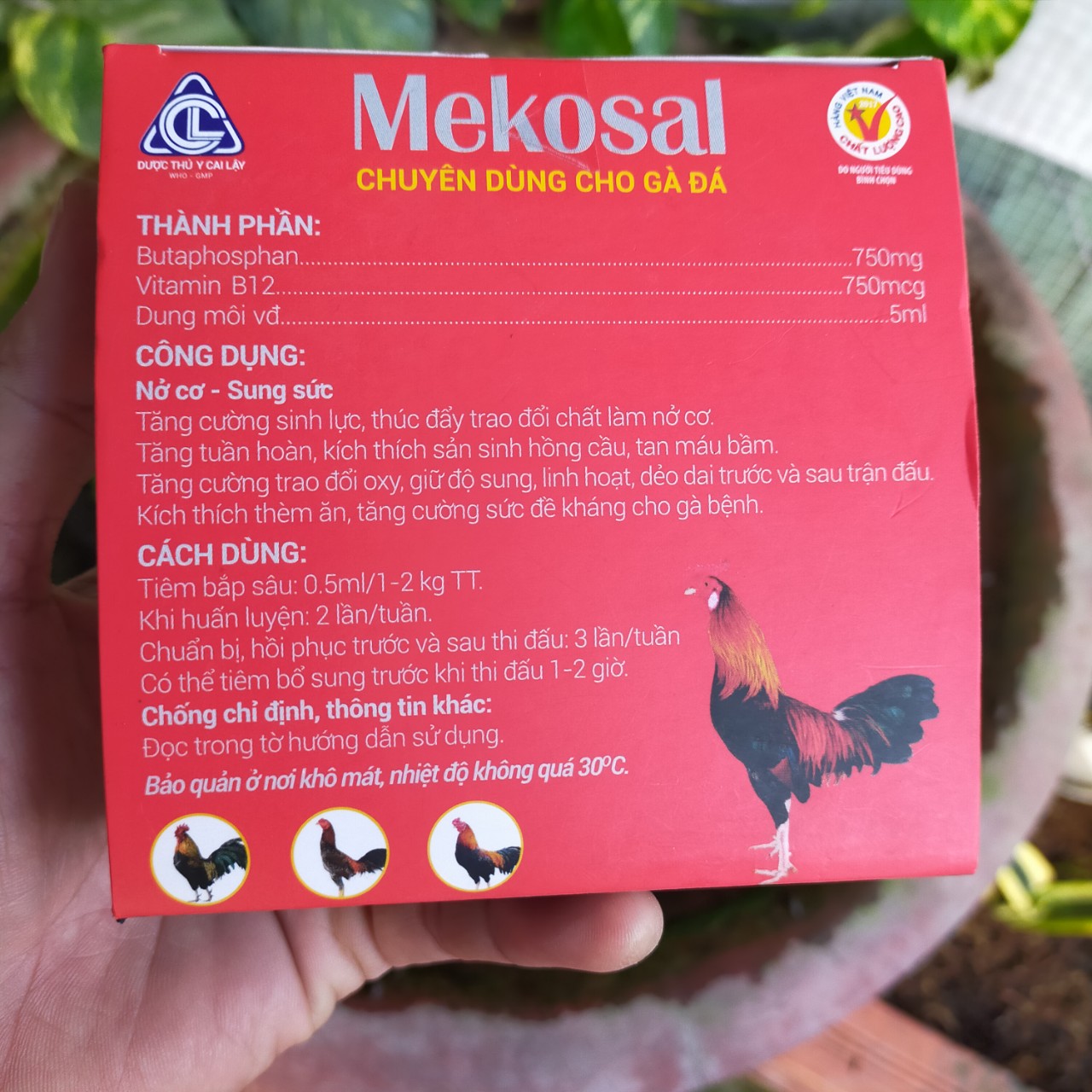 MEKOSAL Thuốc bổ dưỡng thể lực cho gà đá [5 ml]