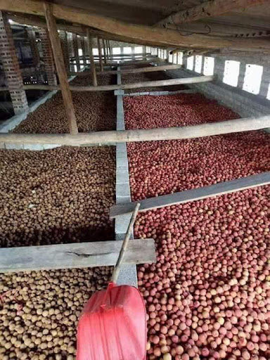 Vải Thiều Sấy Khô Bắc Giang 500 Gram