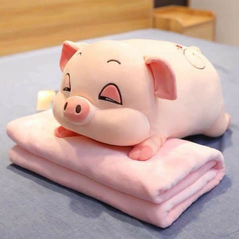 Sét chăn gối lơn kute