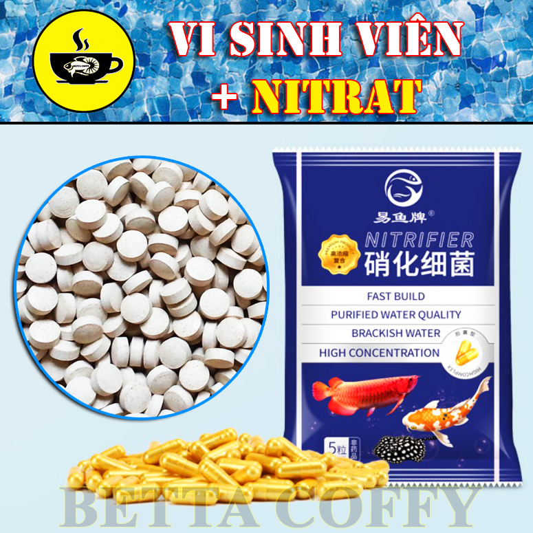 10 Viên vi sinh dạng viên nén - Làm trong nước bể cá