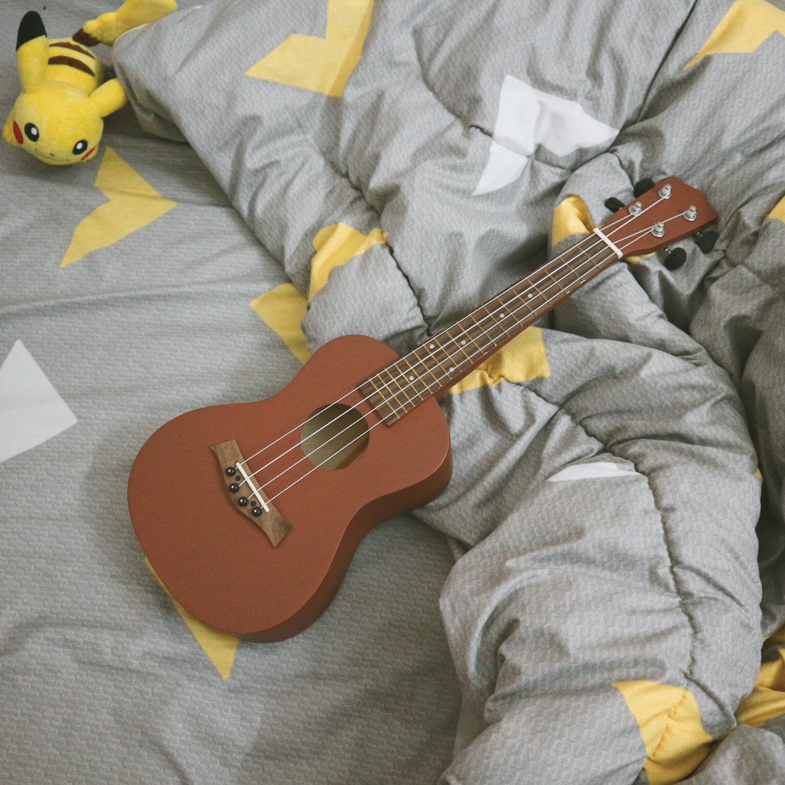 Combo Đàn Ukulele Gỗ Size Concert 23 Kèm Bao vải