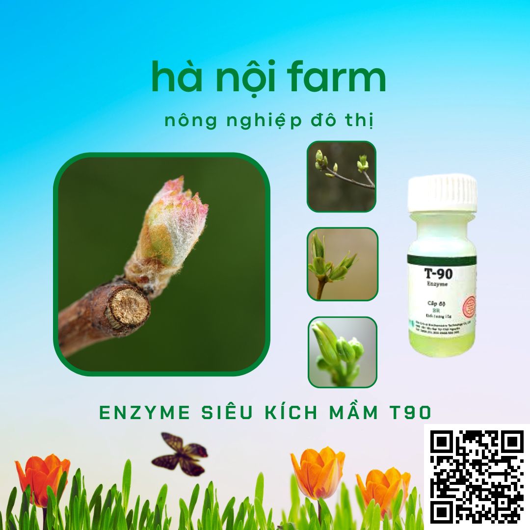 Kích mầm T90 chính hãng, kích mầm theo ý muốn, bật mầm tua tủa, cam kết hiệu quả 100%