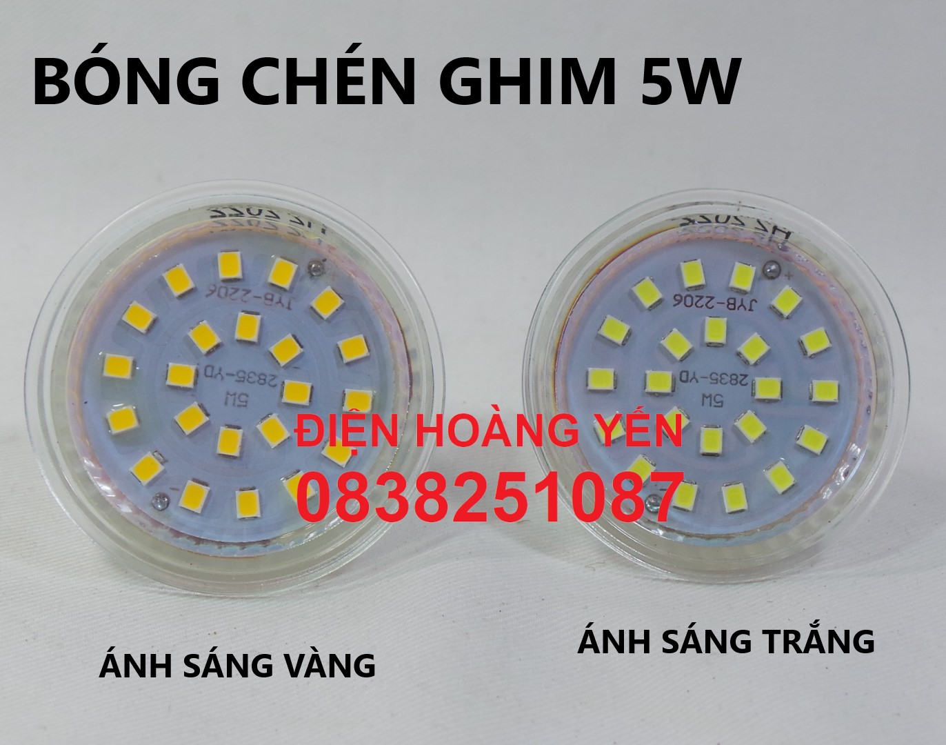 Bóng Đèn led chén 5w chân ghim nhiều led