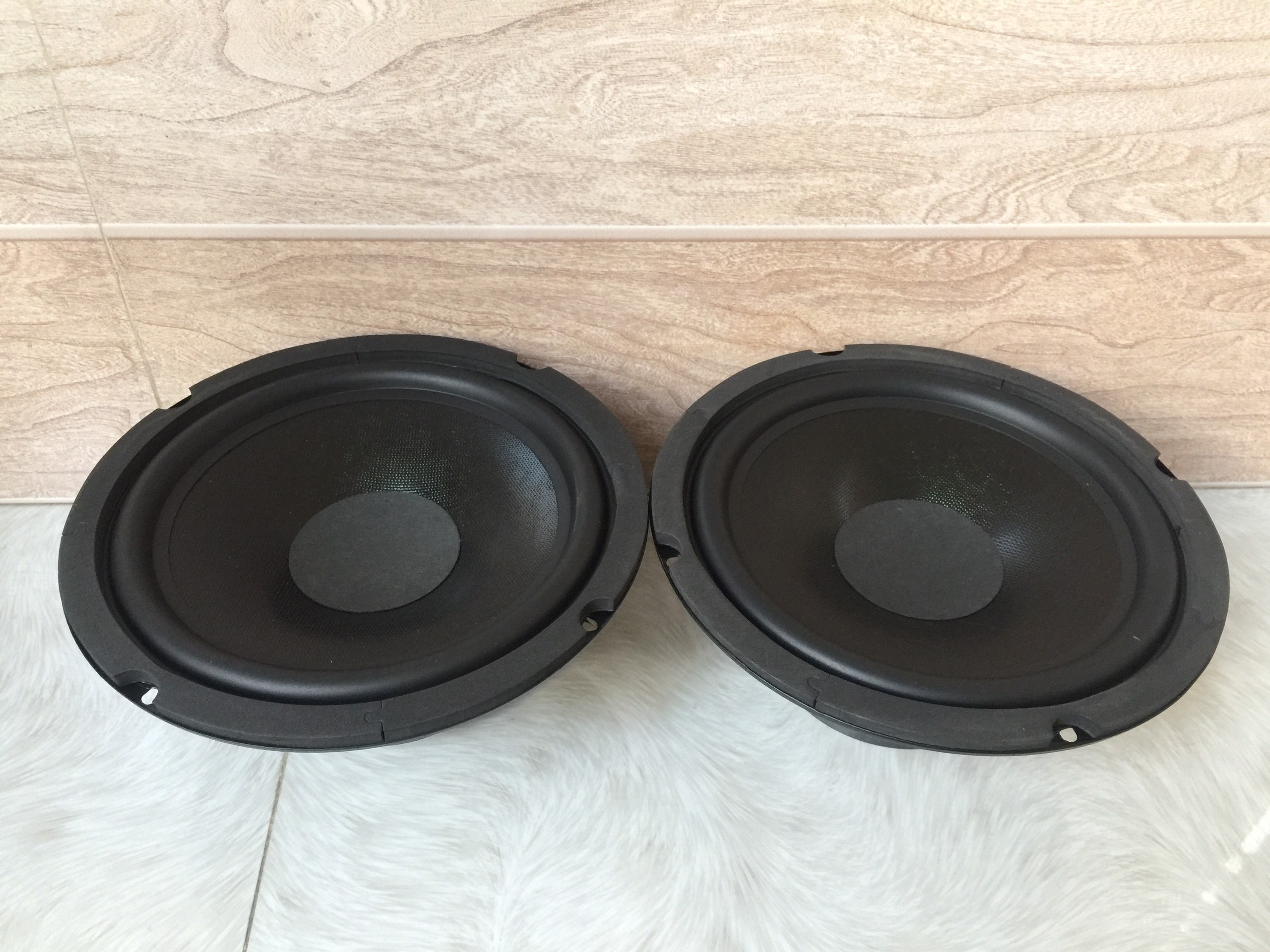 loa bass 2 tấc (20cm) từ đôi