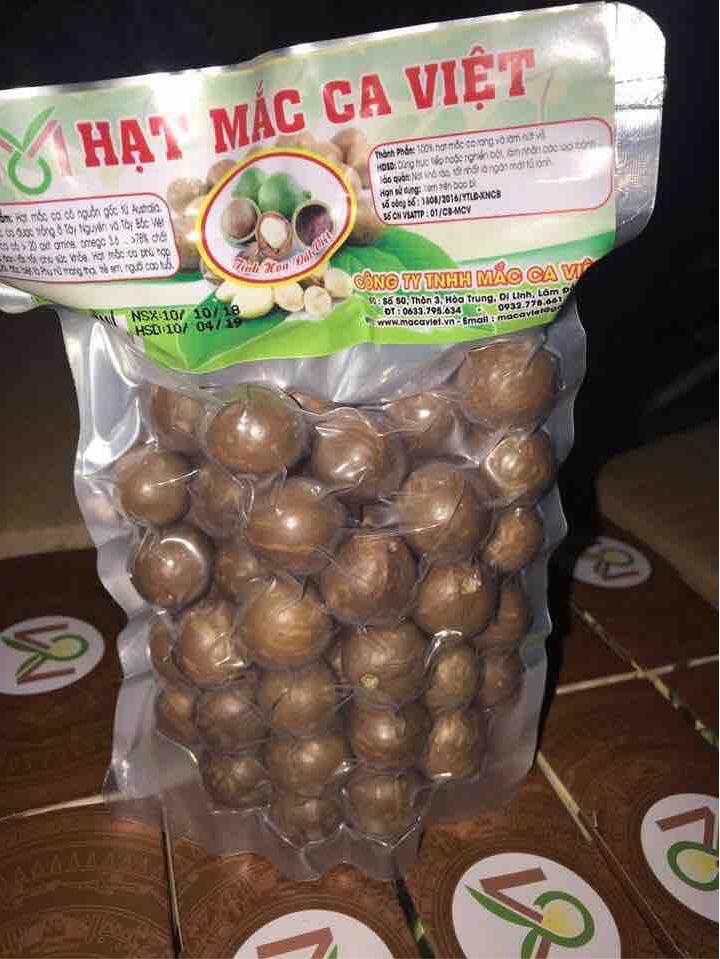 Hạt Macca (Macadamia) Đăk Lăk