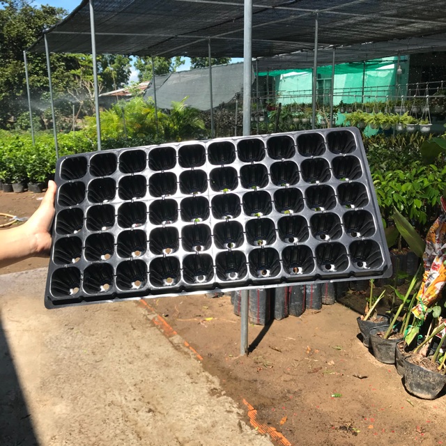 Combo 10 Khay Ươm Hạt 32,50,72,105,200 Lỗ ( Loại Dày)