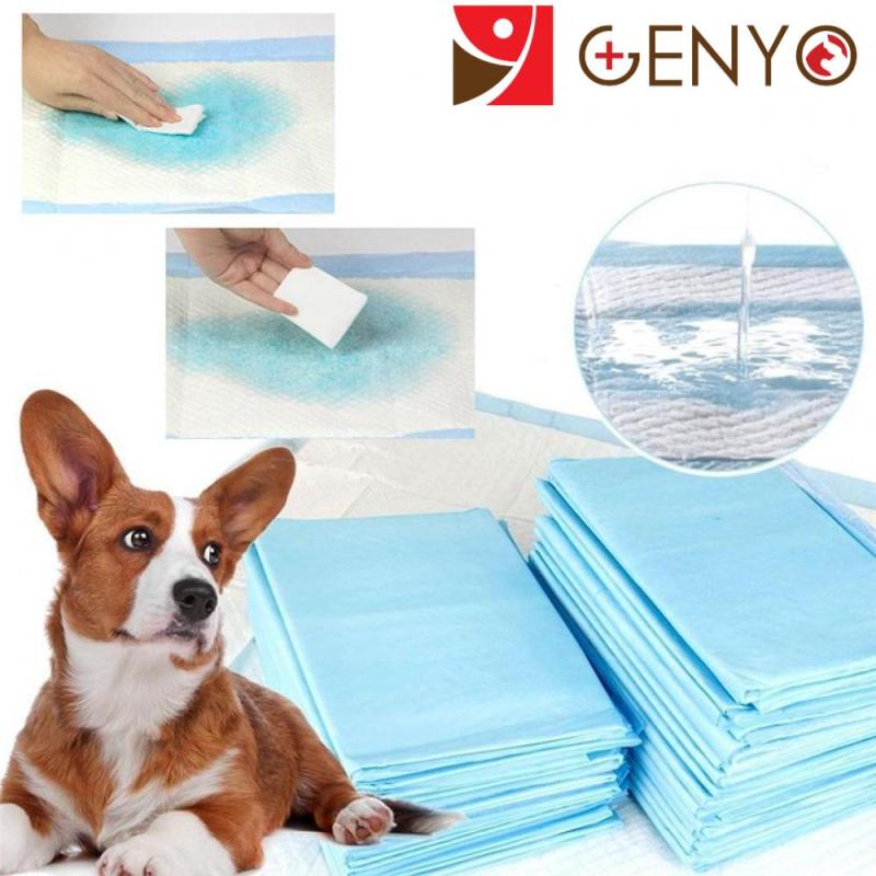 10 Miếng lót cho chó mèo siêu thấm (Bịch 10 miếng)