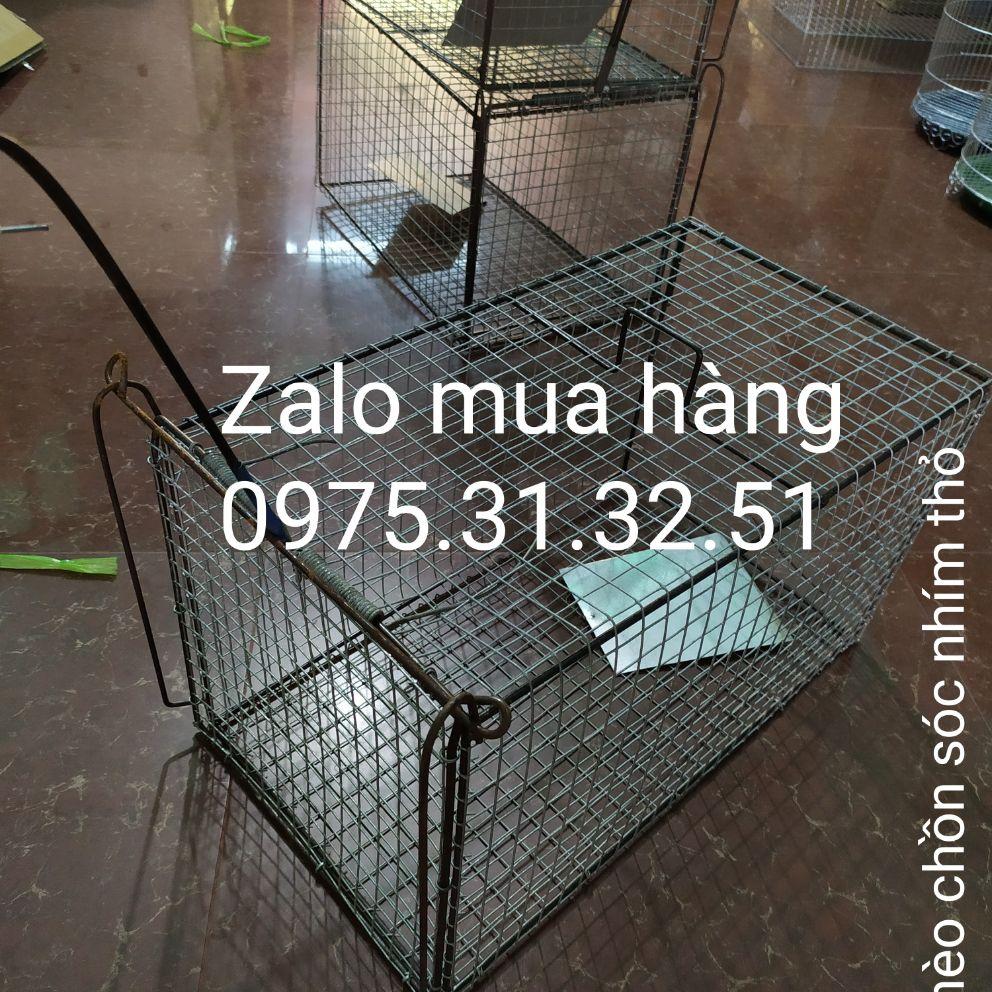 bẫy mèo hoang cỡ trung