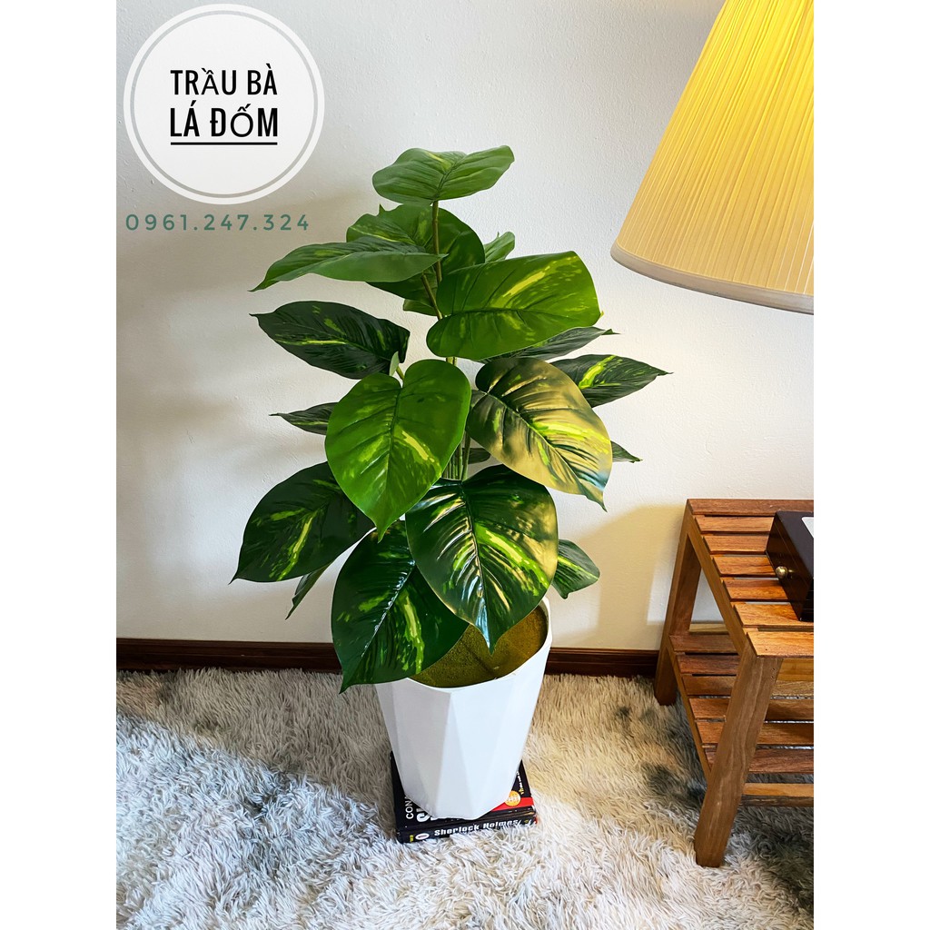 Cây giả - Cây trầu bà lá đốm 70cm