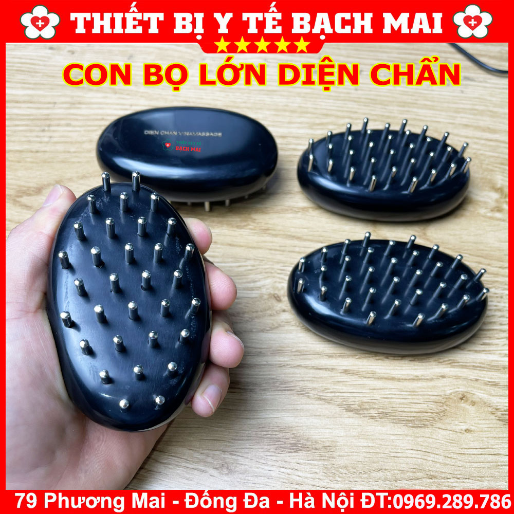 Con Bọ Lớn Diện Chẩn