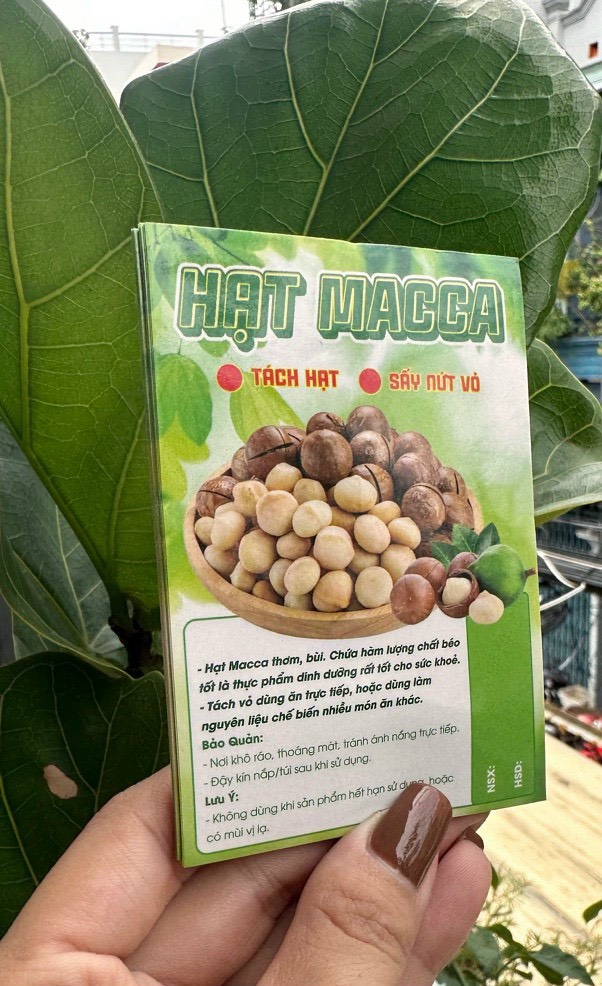 50 Tem Dán “Hạt Macca” 7x10 cm - Cán Bóng, Dày, Đẹp