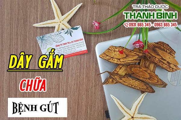 Dây Gắm Khô 1KG - Đông Y Thanh Bình