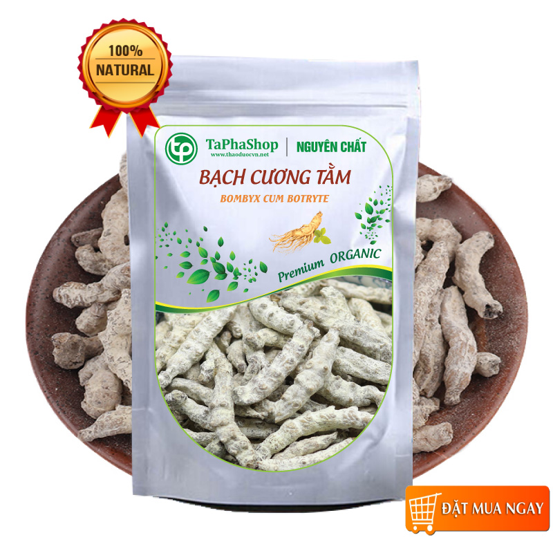 Bạch cương tằm sấy khô 500g - tấn phát