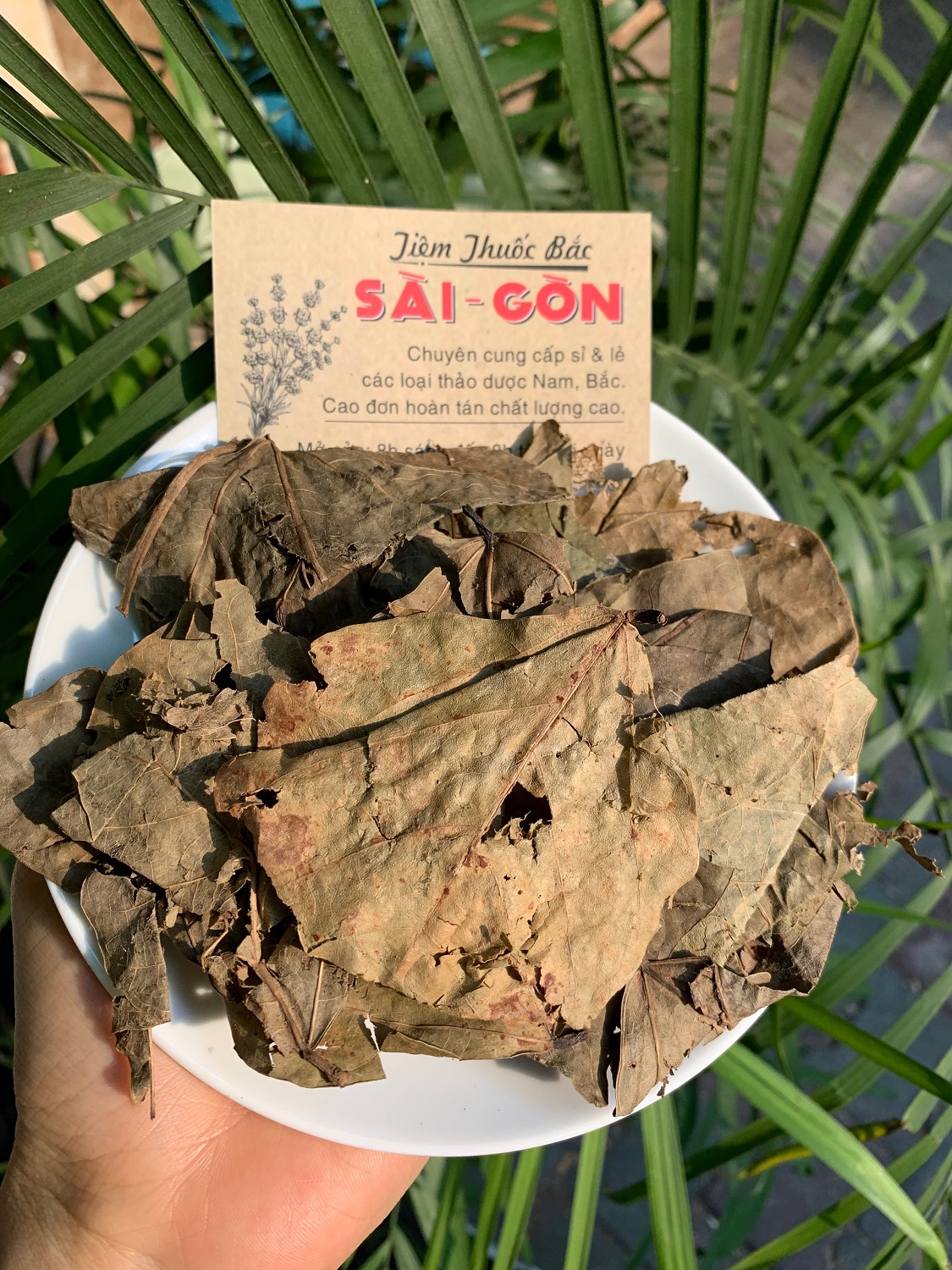 [HCM]LÁ VÔNG NEM 500Gram Tiệm Thuốc Bắc Sài Gòn