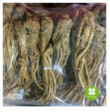 Đương Quy Khô 1KG -DTX190