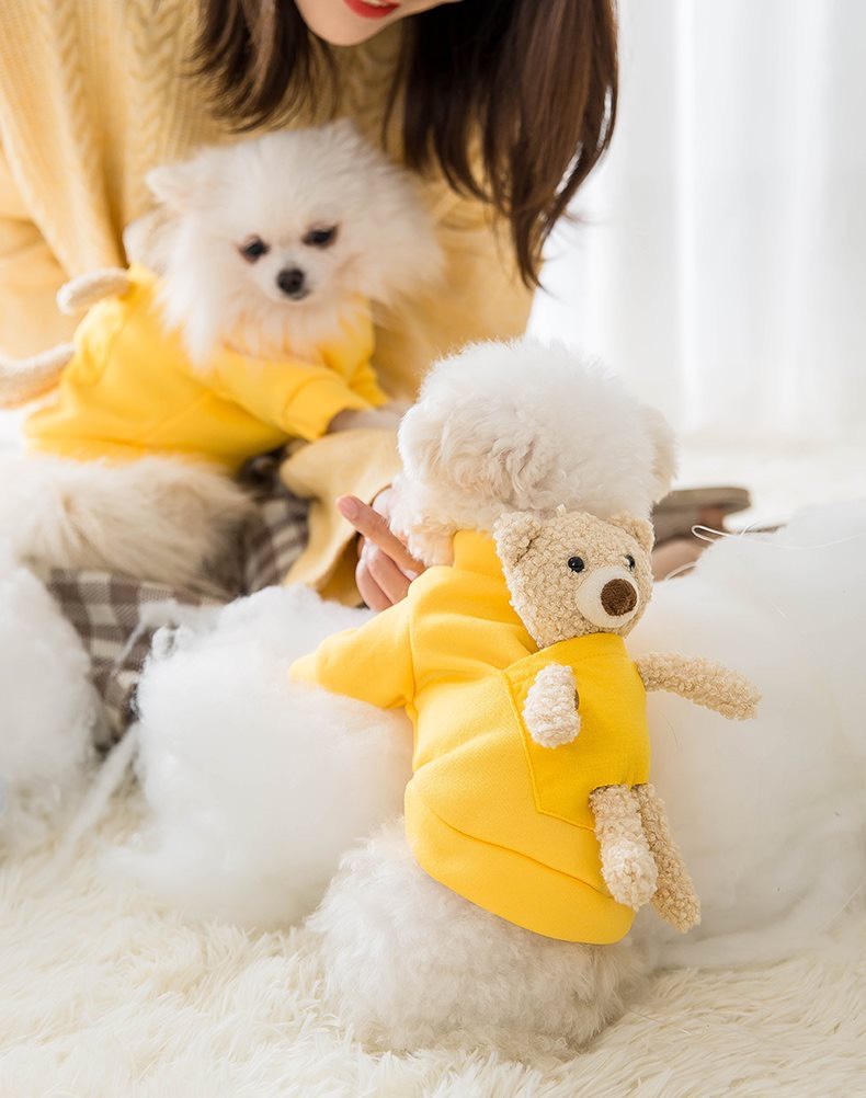 Áo nỉ gấu teddy cho thú cưng