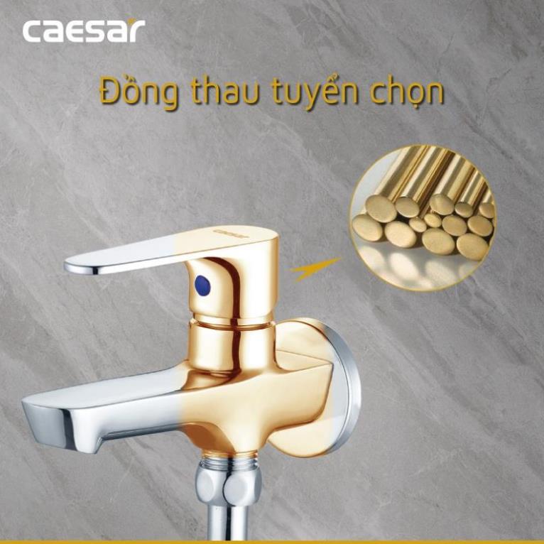 Vòi Sen Lạnh CAESAR S063C tay 1 chế độ xả
