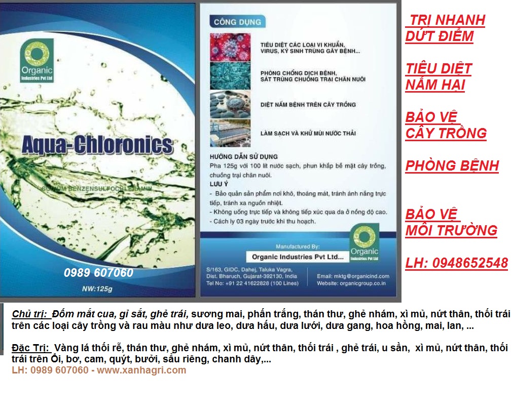 [HCM]Bột diệt khuẩn Aqua Chloronics phòng trừ nấm bệnh thán thư gỉ sắt nấm hồng cho cây các loại
