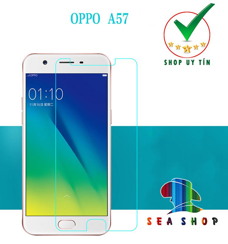 Combo 2 glass tempered for Oppo F3 Lite / A57