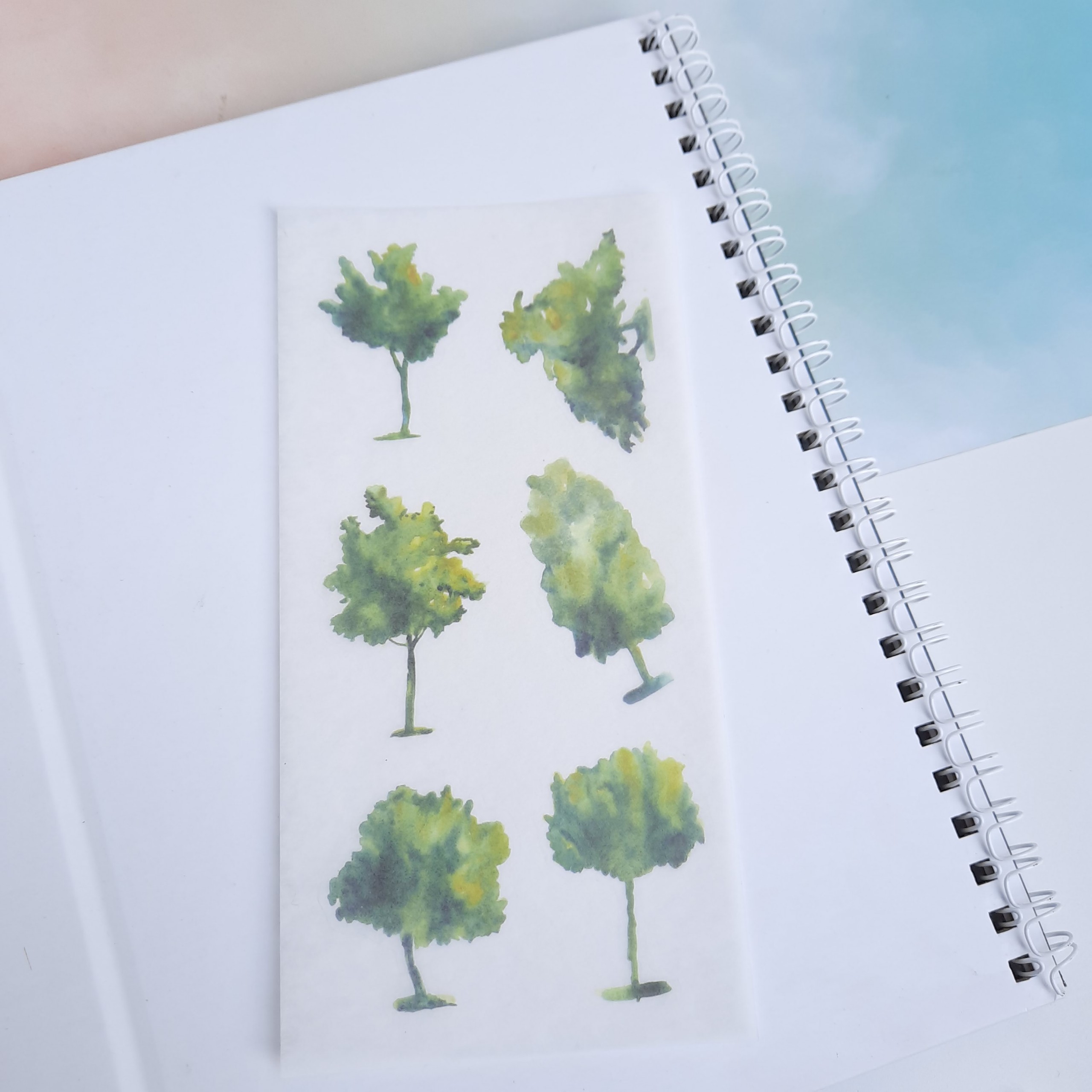 [HCM]Bộ 6 Tấm Sticker Cây Xanh