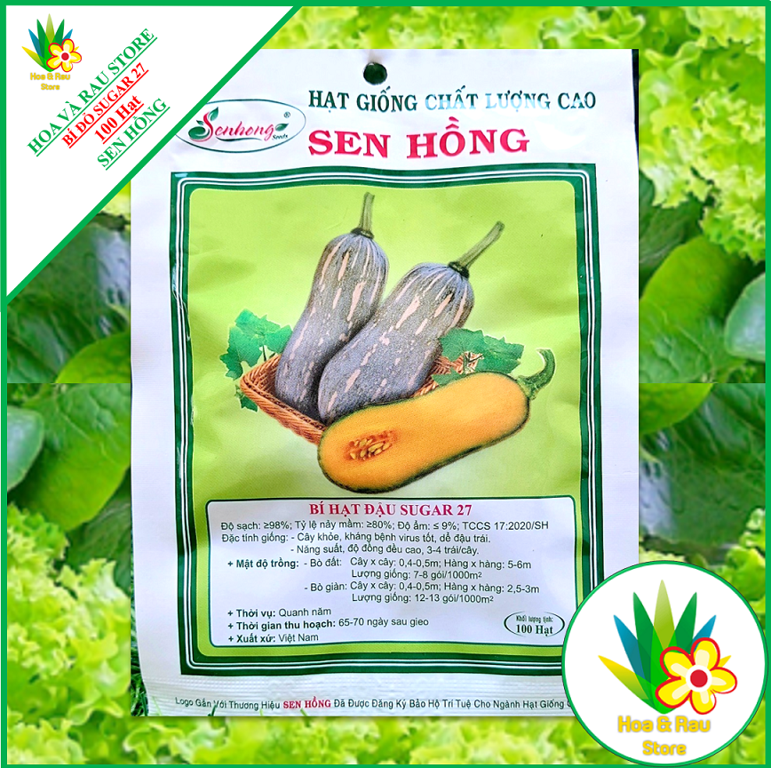 Hạt giống bí đỏ hạt đậu sugar 27 - gói 100 hạt - sen hồng - hoa và rau store - bí đỏ - bí đậu