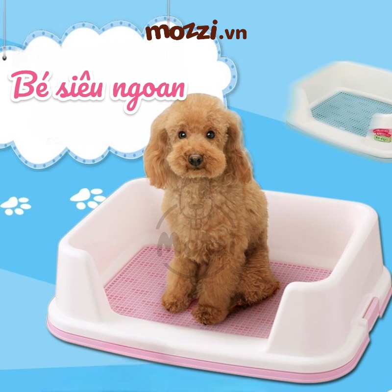 Iris Khay vệ sinh có thành ngăn cao cho chó [Giao màu ngẫu nhiên]
