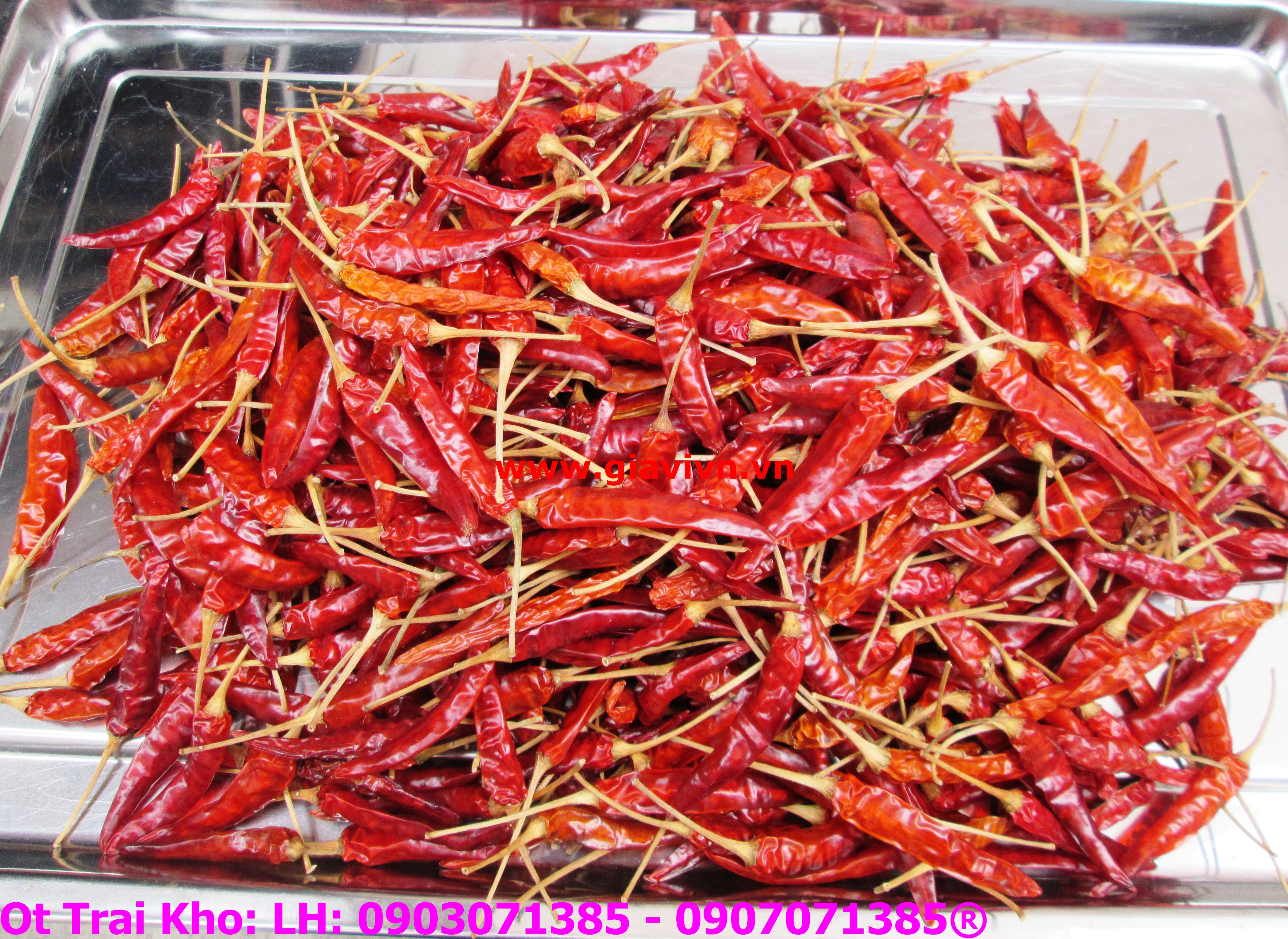Ớt Trái  Phơi Khô Cao Cấp 100gram
