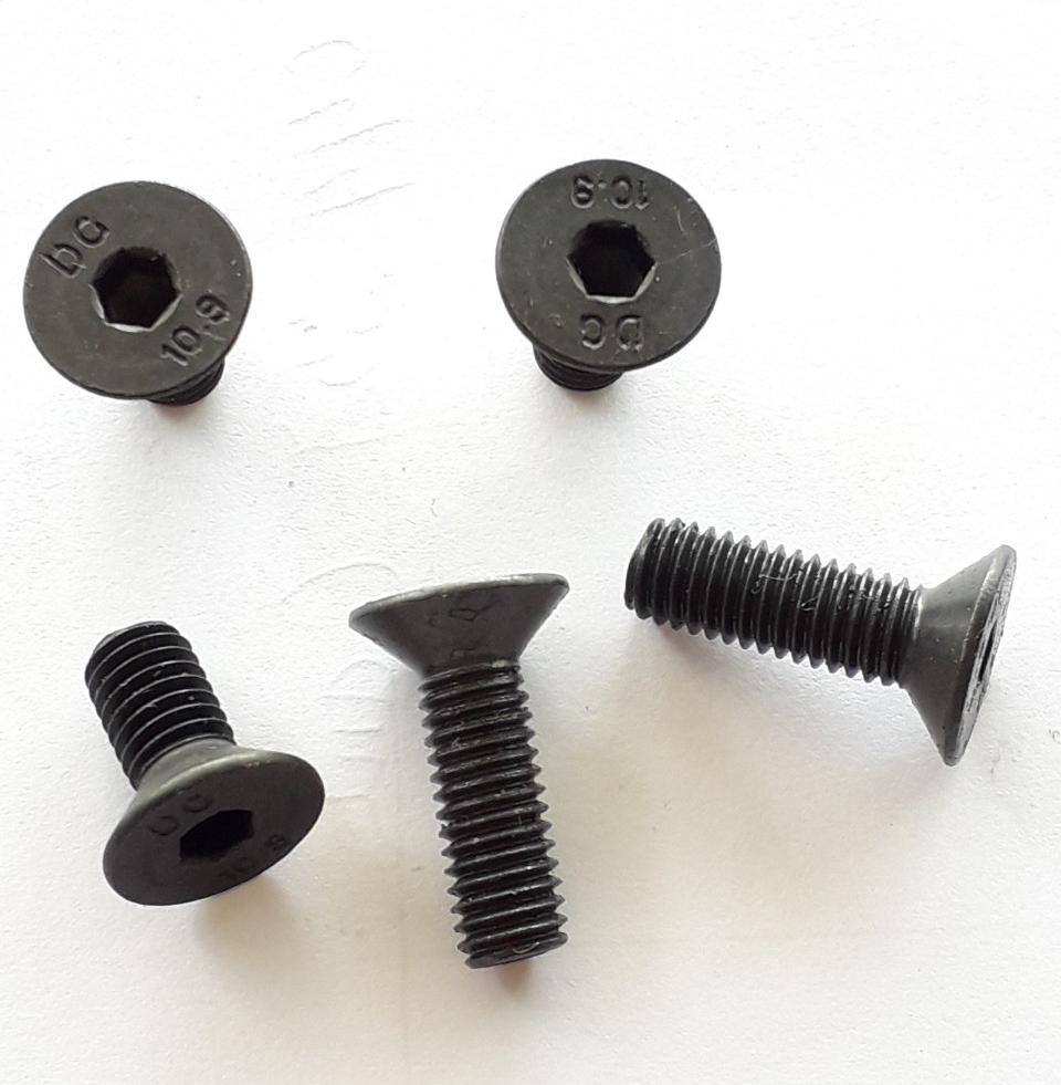 [HCM]Ốc col lục giác đen 6ly x 10 con....