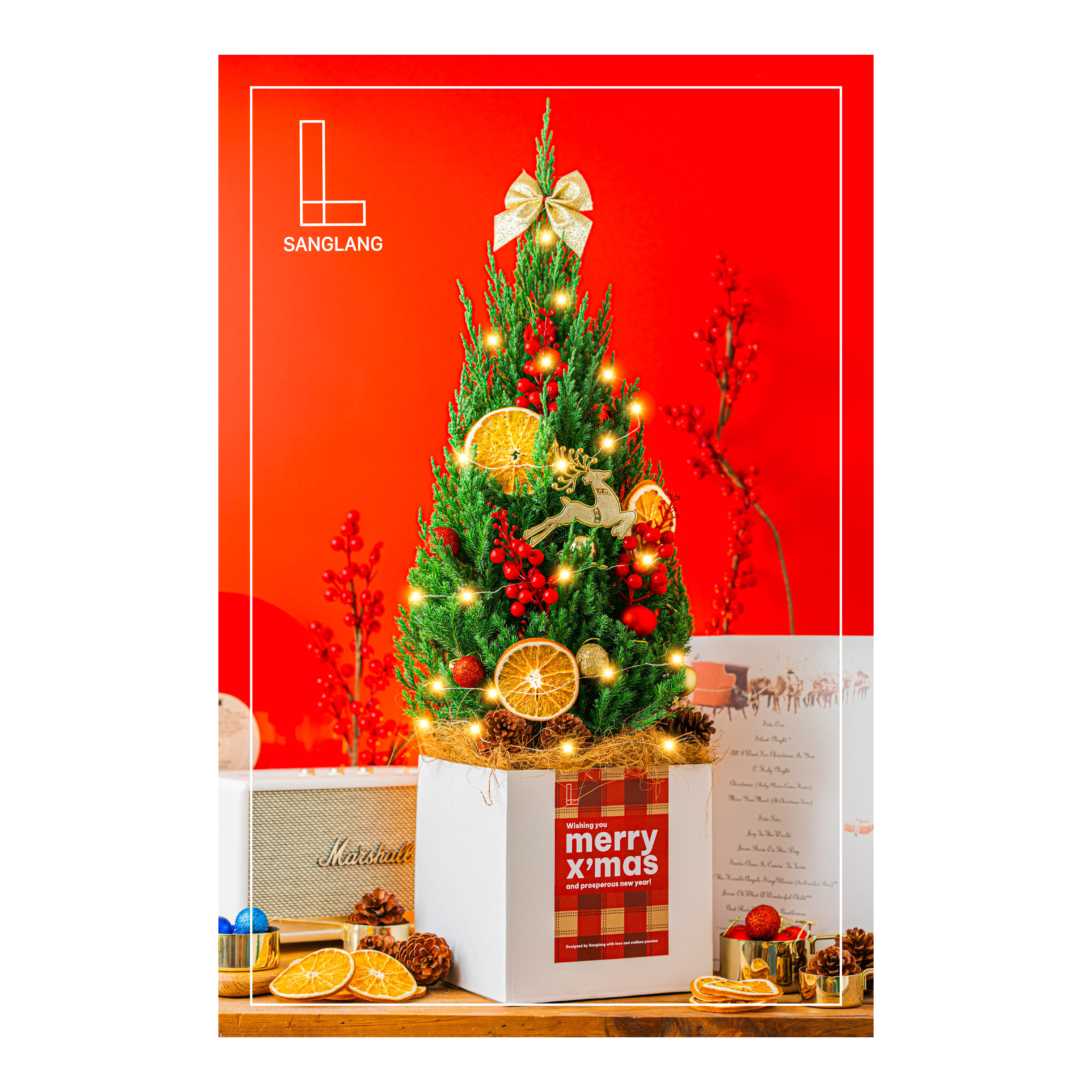 [Chỉ giao HCM-Hỏa Tốc]-Cây Tùng Sơn Trang Trí Noel Sanglang
