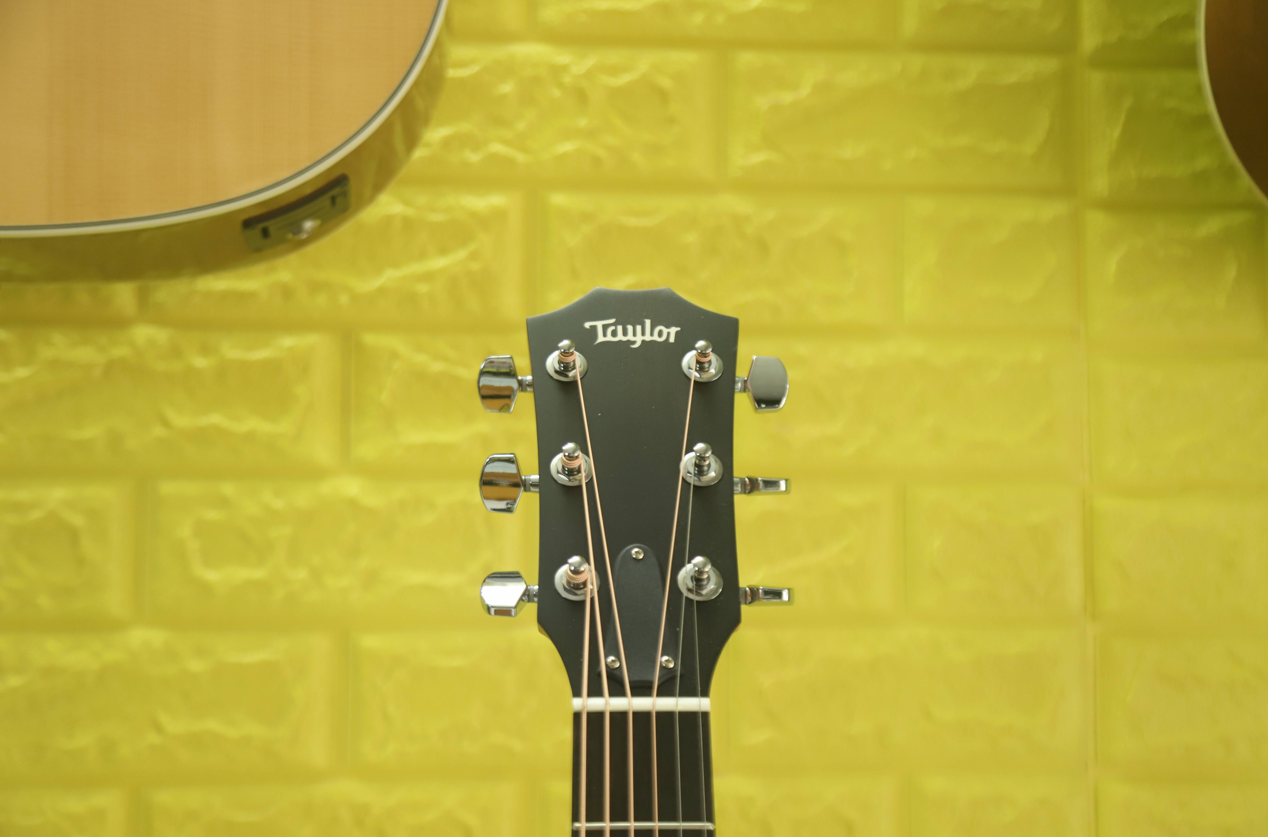 Đàn Guitar Taylor 214CE