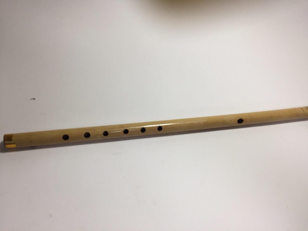 [HCM]Sáo trúc SN03
